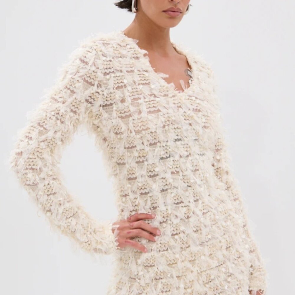 SHAGGY MESH MINI DRESS